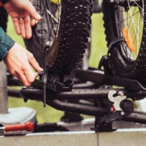 Pyöräkouru Thule Fatbike